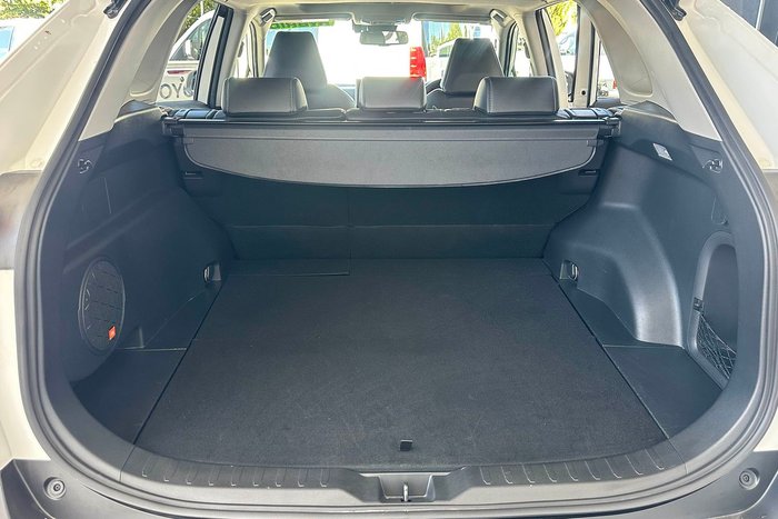 2020 Toyota RAV4 Cruiser