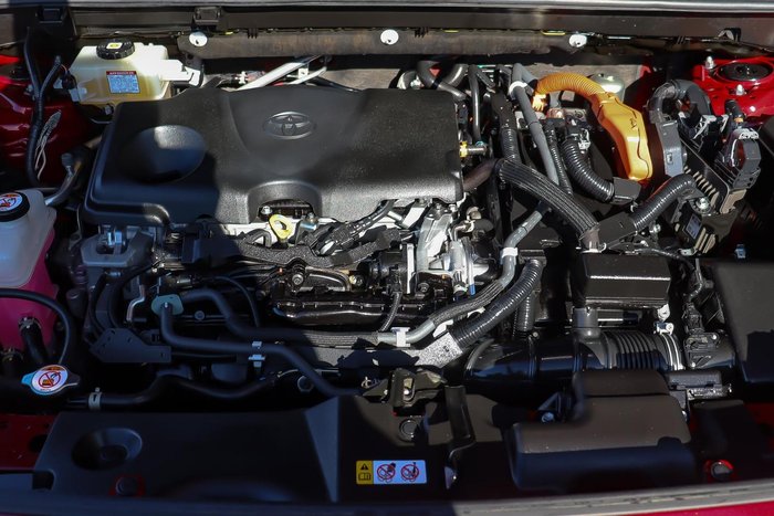2020 Toyota RAV4 Cruiser