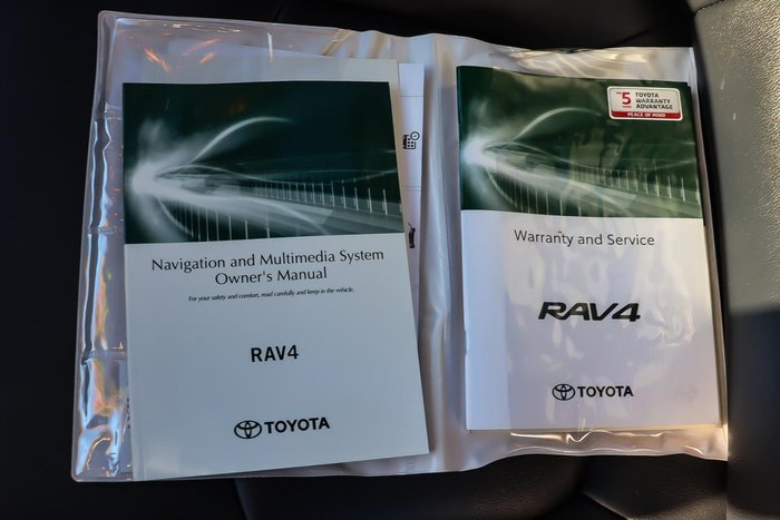2020 Toyota RAV4 Cruiser