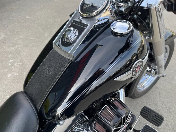 2014 HARLEY-DAVIDSON FLSTF FAT BOY