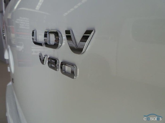 2024 LDV V80