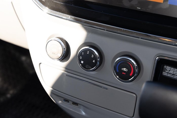 2024 LDV V80