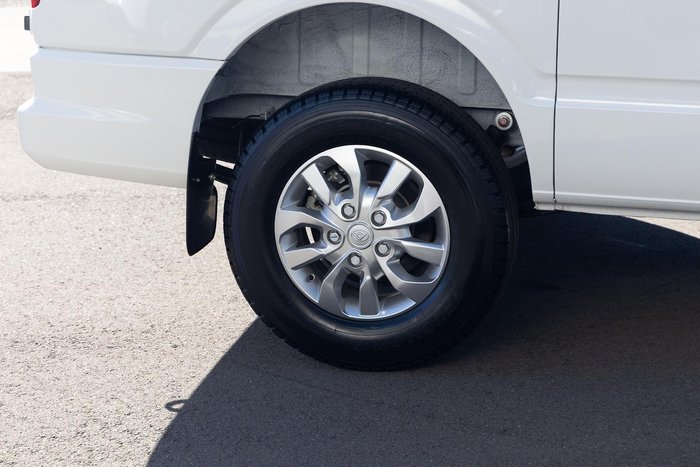 2024 LDV V80