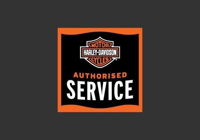 2025 Harley-Davidson Fat Boy 117 (FLFB) Softail Blue