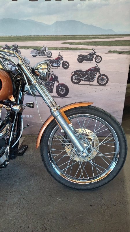 2008 Harley-davidson FXSTC ANV SOFTAIL CUSTOM 105TH ANN ANN COPPER / BLACK