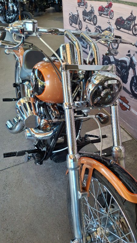 2008 Harley-davidson FXSTC ANV SOFTAIL CUSTOM 105TH ANN ANN COPPER / BLACK