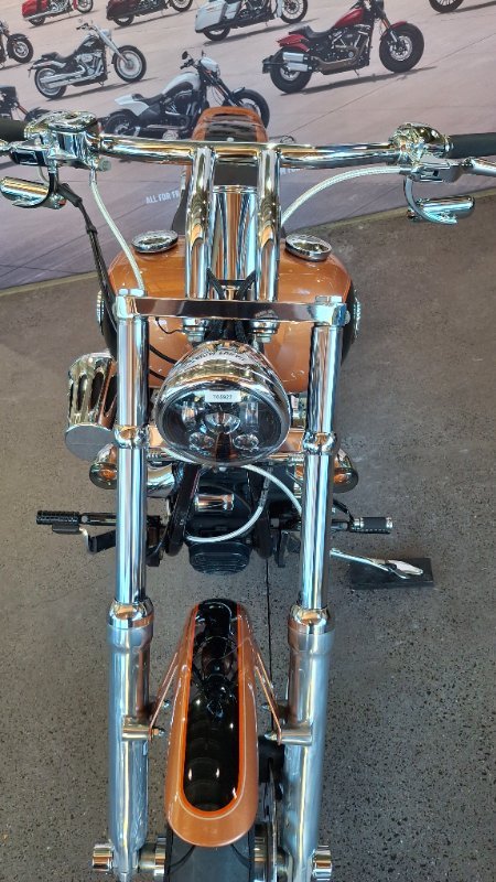 2008 Harley-davidson FXSTC ANV SOFTAIL CUSTOM 105TH ANN ANN COPPER / BLACK