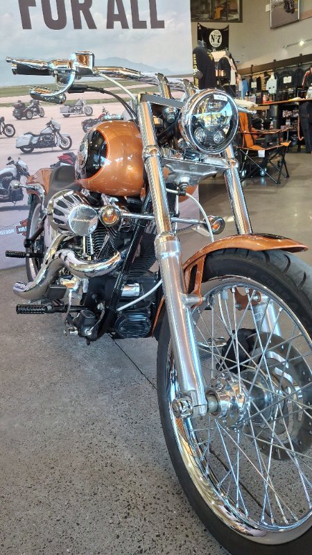2008 Harley-davidson FXSTC ANV SOFTAIL CUSTOM 105TH ANN ANN COPPER / BLACK