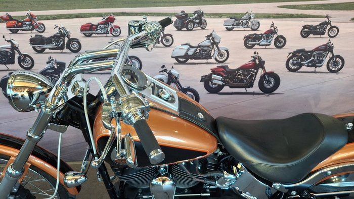 2008 Harley-davidson FXSTC ANV SOFTAIL CUSTOM 105TH ANN ANN COPPER / BLACK