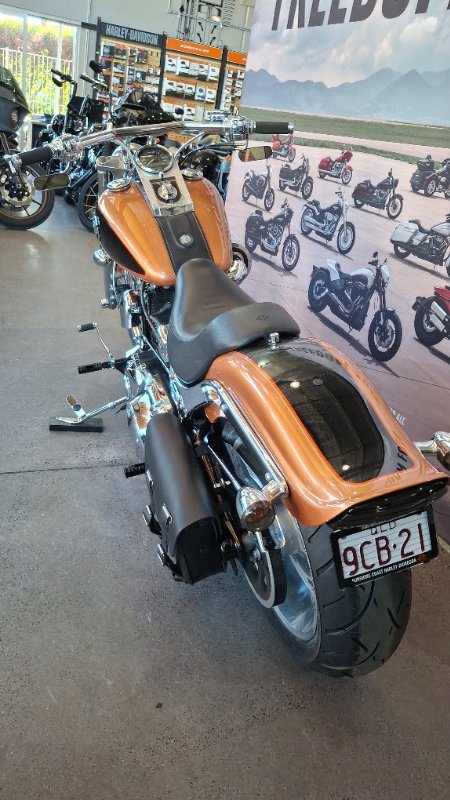 2008 Harley-davidson FXSTC ANV SOFTAIL CUSTOM 105TH ANN ANN COPPER / BLACK
