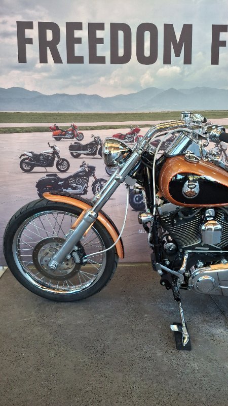 2008 Harley-davidson FXSTC ANV SOFTAIL CUSTOM 105TH ANN ANN COPPER / BLACK