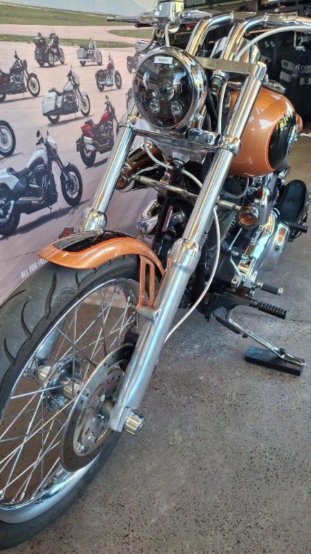 2008 Harley-davidson FXSTC ANV SOFTAIL CUSTOM 105TH ANN ANN COPPER / BLACK