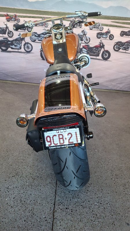 2008 Harley-davidson FXSTC ANV SOFTAIL CUSTOM 105TH ANN ANN COPPER / BLACK