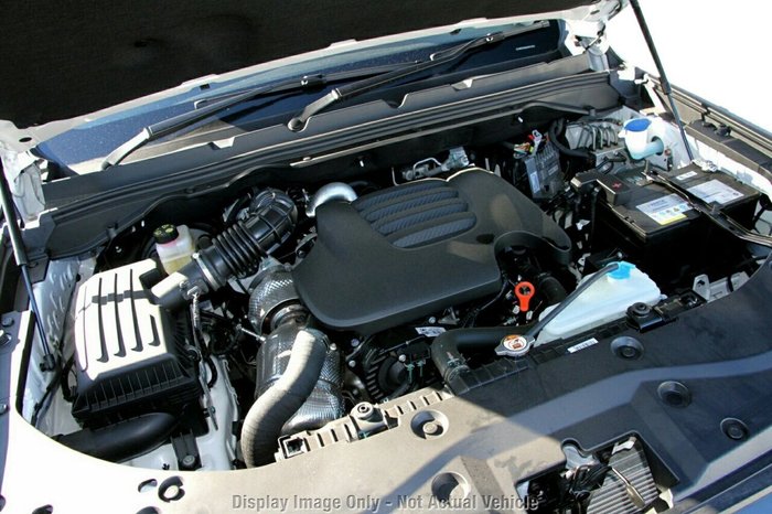 2025 GWM Cannon Premium