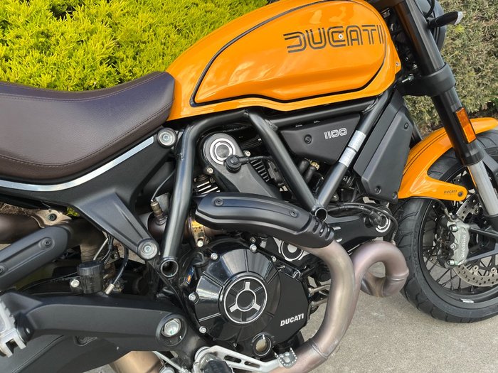 2022 DUCATI SCRAMBLER 1100 Yellow