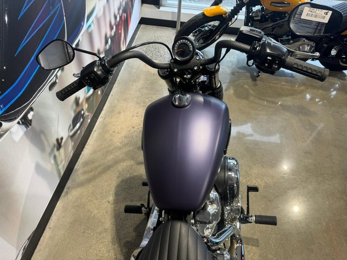 2025 Harley-Davidson Street Bob 117 (FXBB) Softail Purple