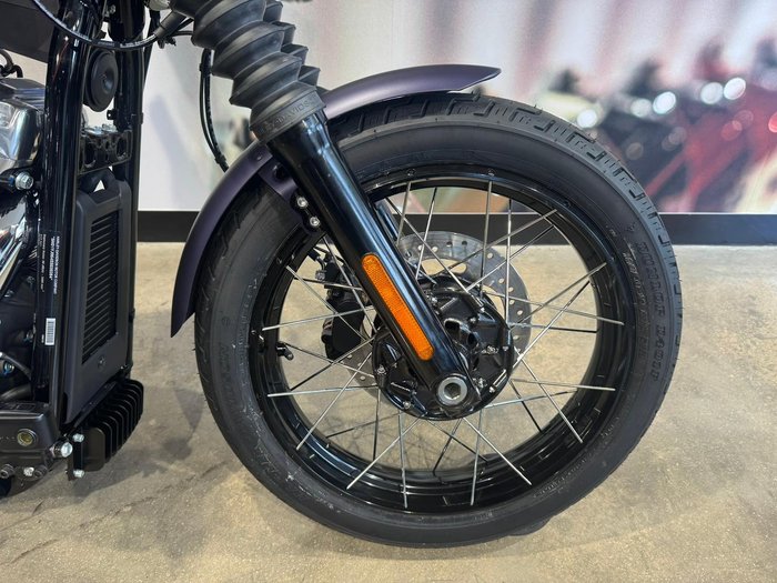 2025 Harley-Davidson Street Bob 117 (FXBB) Softail Purple