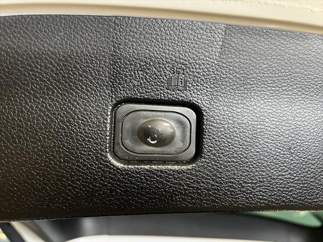 2019 Ford Everest Trend