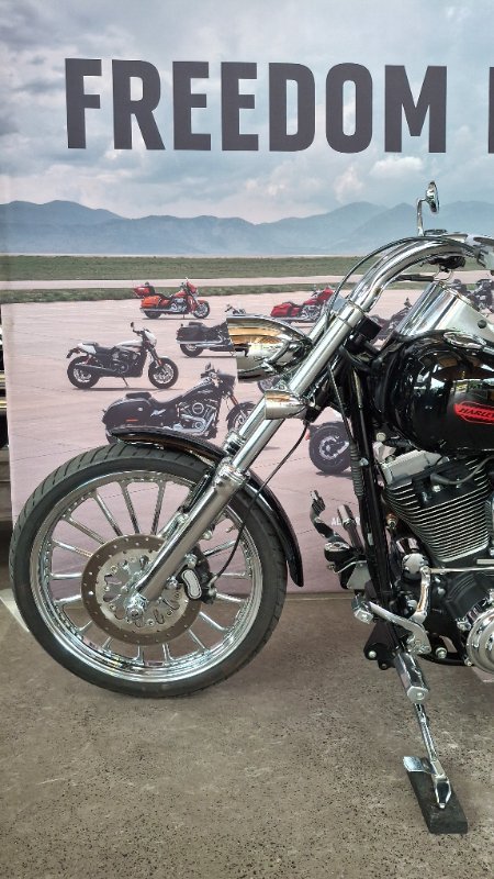 2008 Harley-davidson FXST SOFTAIL STANDARD Black