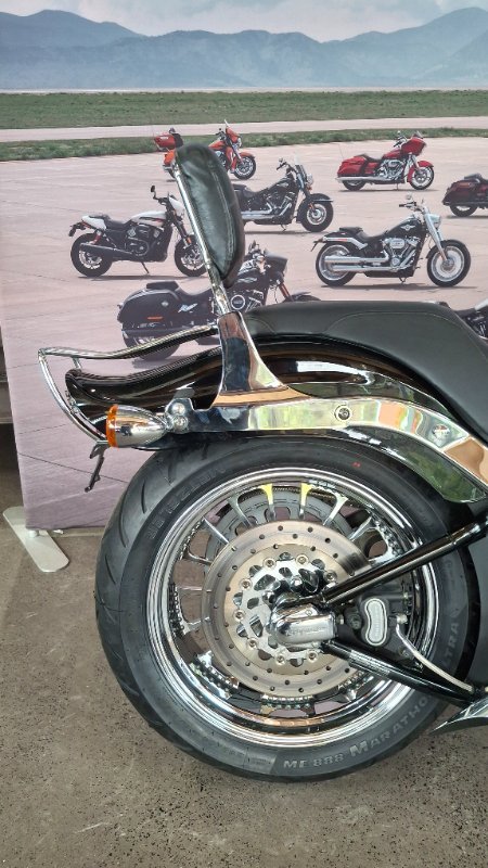 2008 Harley-davidson FXST SOFTAIL STANDARD Black