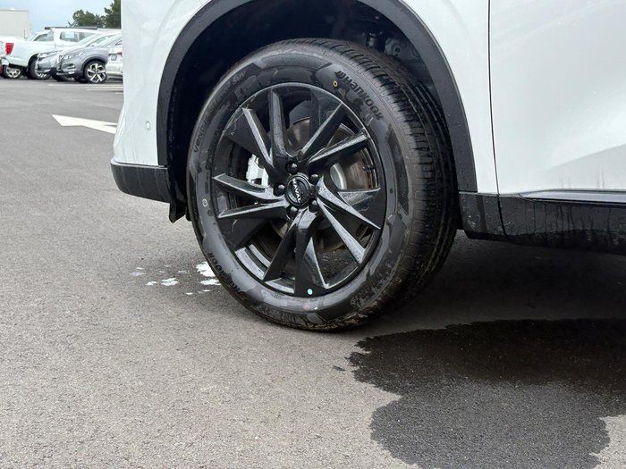 2025 GWM Haval H6 Ultra Hybrid