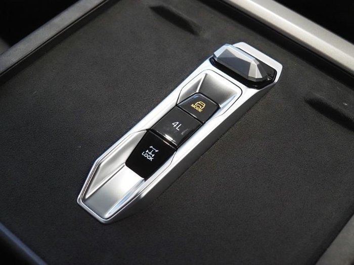 2025 LDV Terron 9 Origin