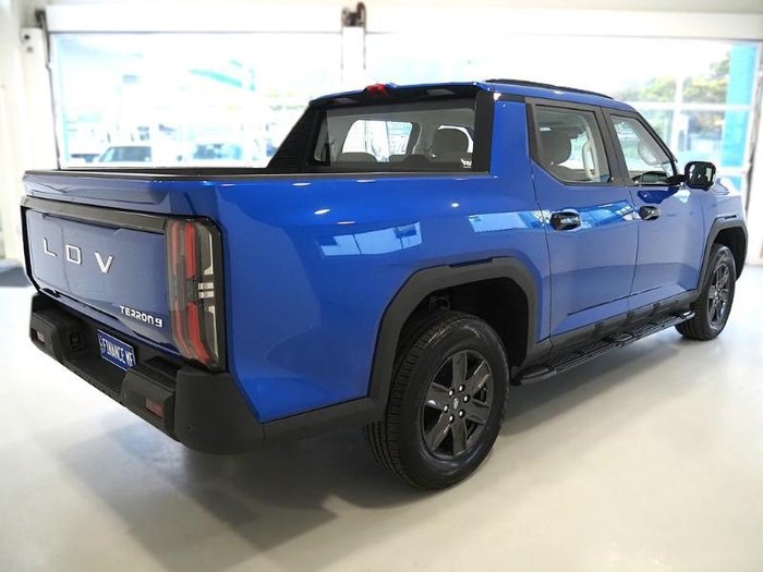 2025 LDV Terron 9 Origin