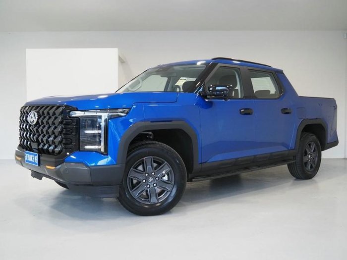 2025 LDV Terron 9 Origin