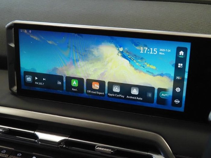 2025 LDV Terron 9 Origin