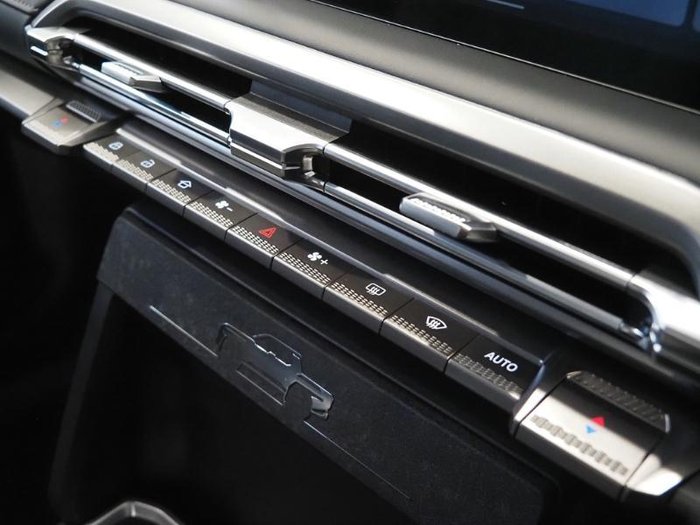 2025 LDV Terron 9 Origin