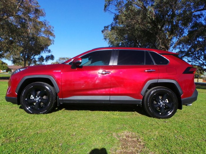 2021 Toyota RAV4 Cruiser