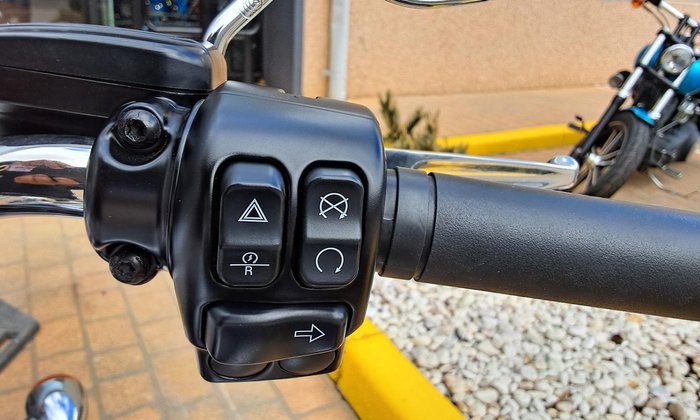 2020 Harley-Davidson Freewheeler 114 (FLRT) Freewheeler Black