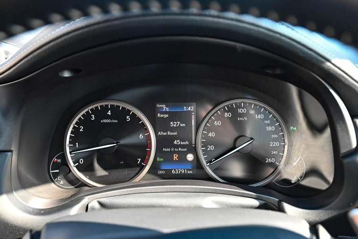 2019 Lexus NX 300 Sports Luxury
