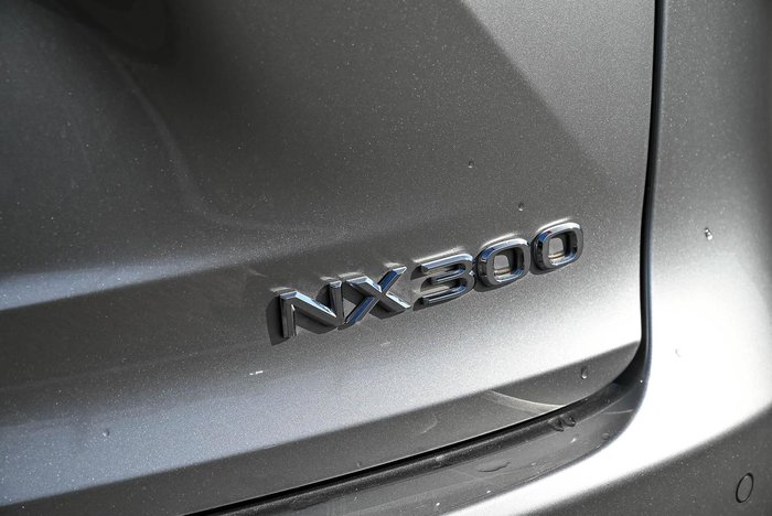 2019 Lexus NX 300 Sports Luxury