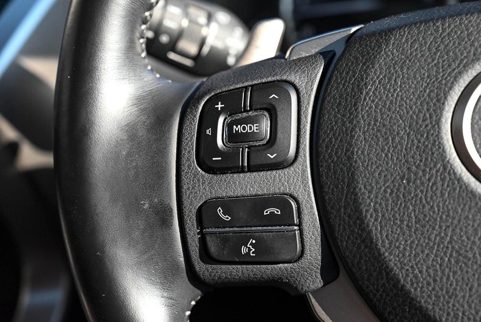2019 Lexus NX 300 Sports Luxury