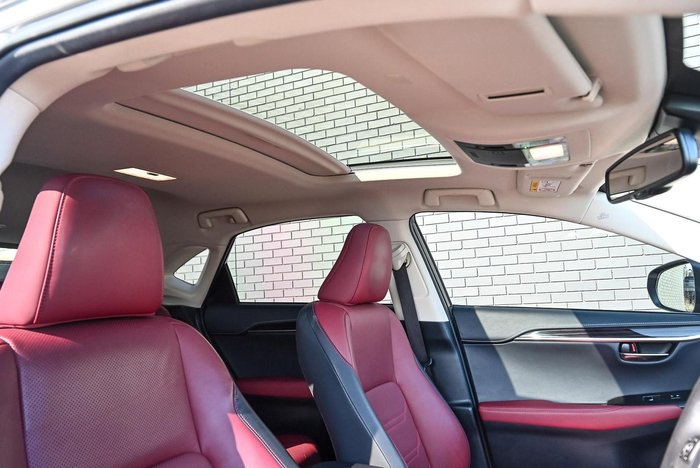2019 Lexus NX 300 Sports Luxury
