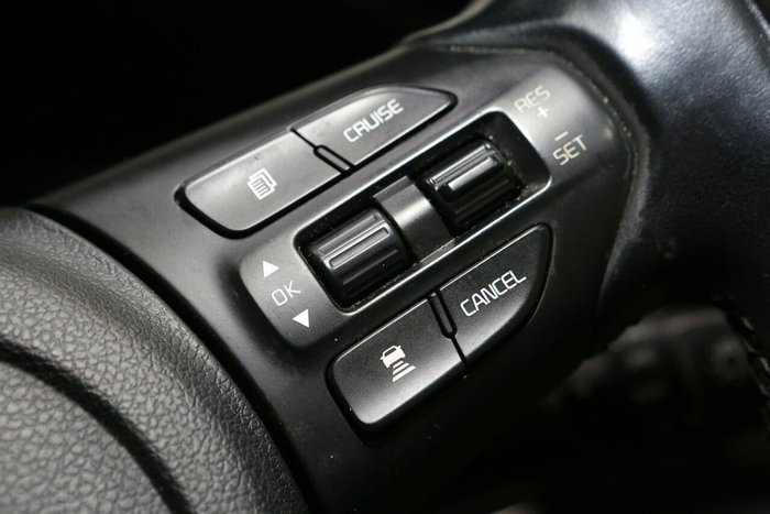 2019 Kia Carnival Si