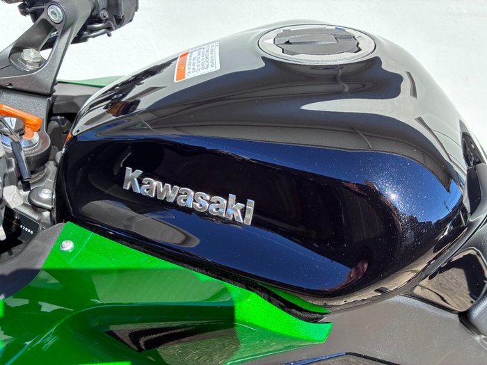 2024 Kawasaki NINJA 1000SX GREEN