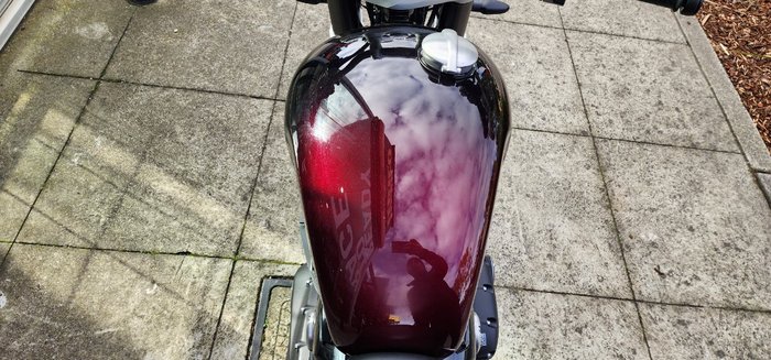 2024 Triumph BONNEVILLE SPEED TWIN 1200 MAROON
