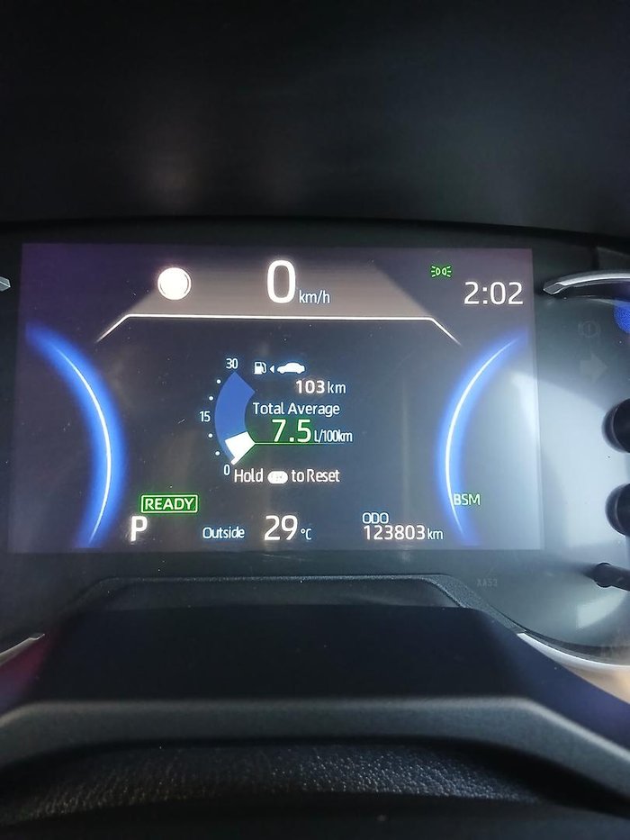 2020 Toyota RAV4 Cruiser