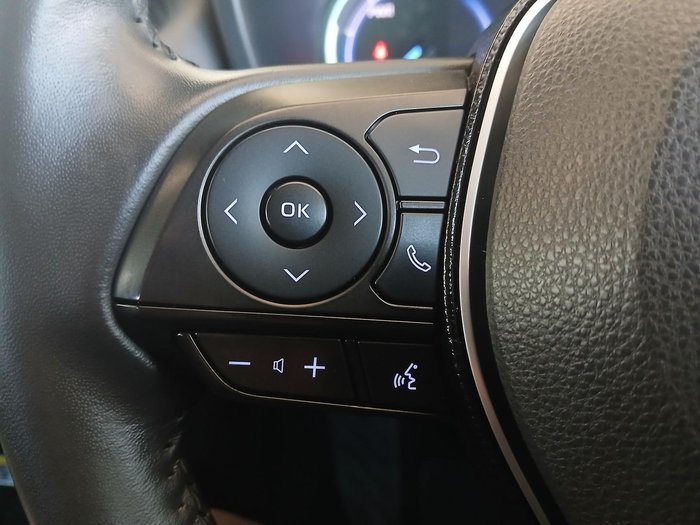 2020 Toyota RAV4 Cruiser