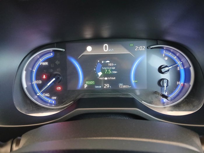 2020 Toyota RAV4 Cruiser