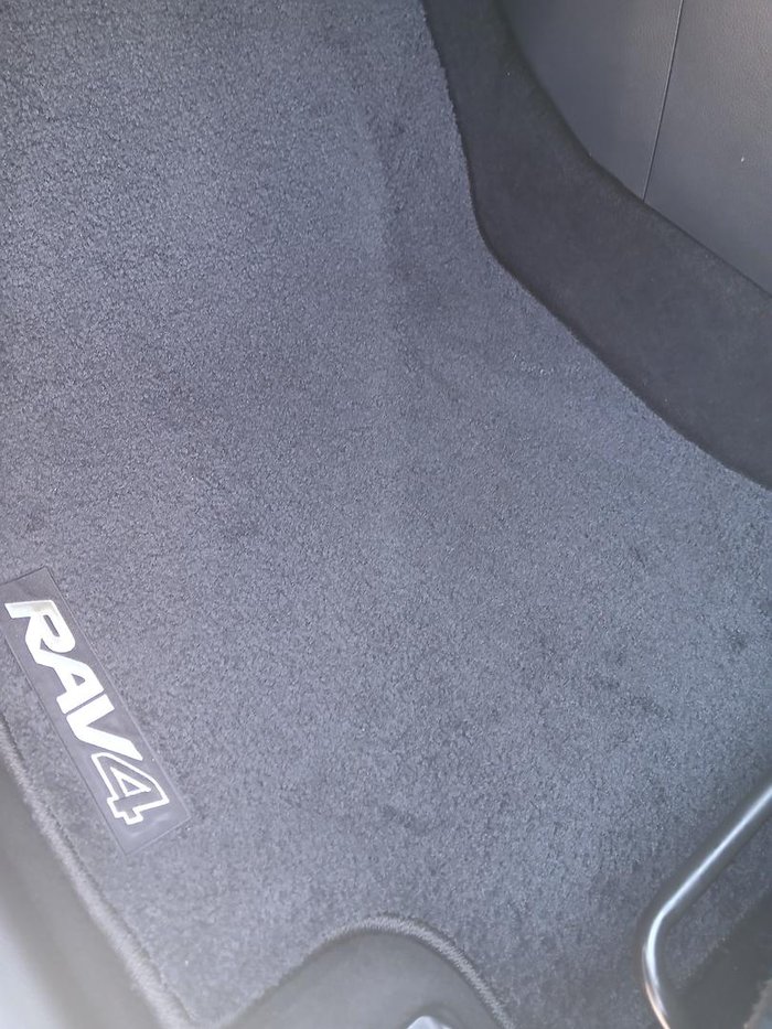 2020 Toyota RAV4 Cruiser