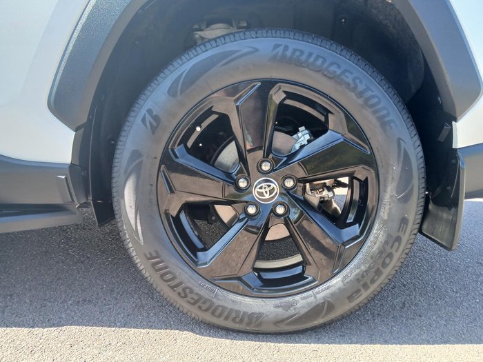 2020 Toyota RAV4 Cruiser