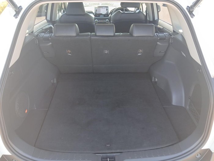 2020 Toyota RAV4 Cruiser