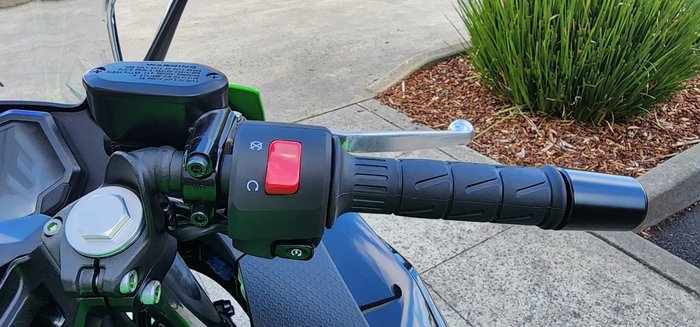 2025 Kawasaki NINJA 500 SE (LAMS) GREEN