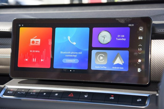 2025 GWM Cannon Premium