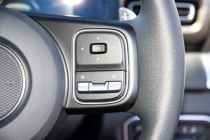 2025 GWM Cannon Premium