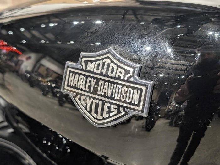2019 Harley-Davidson Street 500 (XG500) Street Black