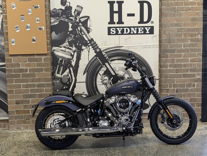 2025 Harley-Davidson Street Bob 117 (FXBB) Softail Purple